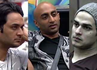 Vikash Gupta - Akash Dadlani - Priyank - Bigg Boss 11