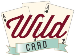 Bigg Boss 12 Wild Card Entry